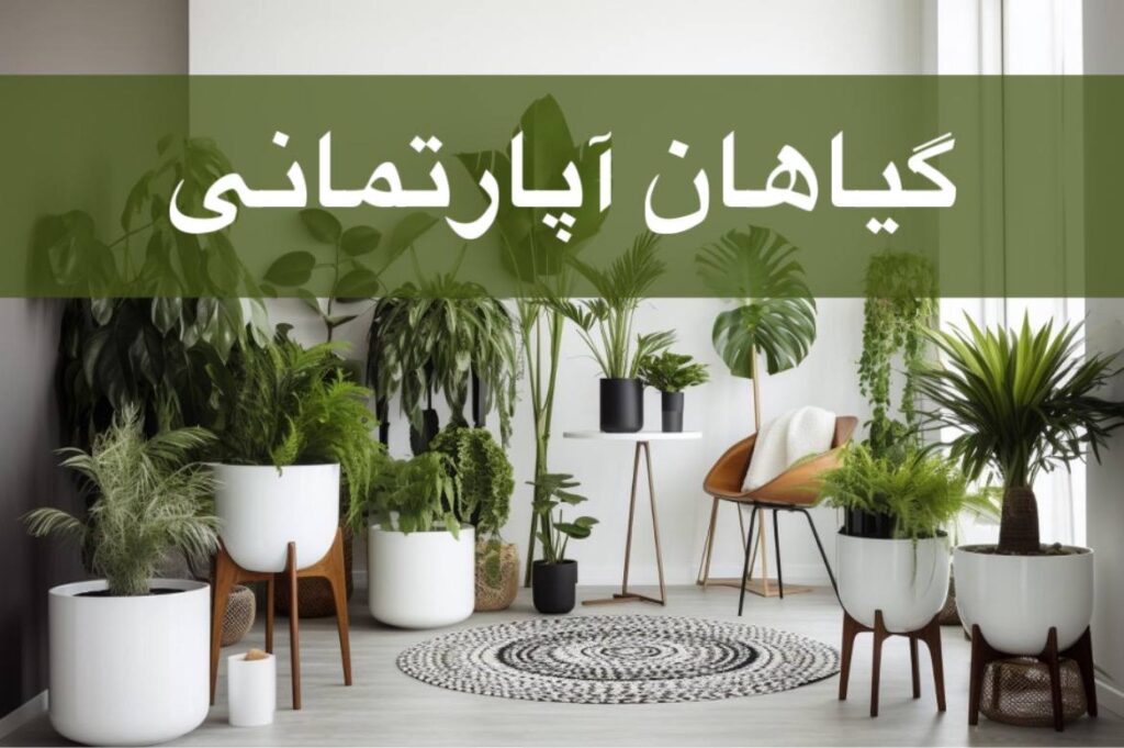 گیاهان مقاوم آپارتمانی