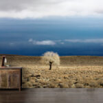 پوستر دیواری طرح بیابان