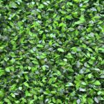 فنس برگی پر تراکم مدل اچ اند اس