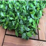 فنس برگی پر تراکم مدل اچ اند اس