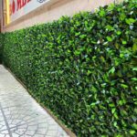 فنس برگی پر تراکم مدل اچ اند اس - تصویر 3