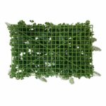 گرین وال سیکاس شبدر