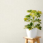 کاغذ دیواری طرح بافت کرم کد ۱۰۲۷۷